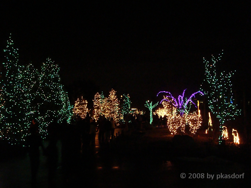 006 Toledo Zoo Light Show [2008 Dec 27].JPG - Scenes from the Toledo Zoo Light Show.